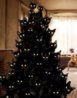 Tree.jpg