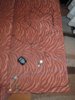 DSCN3358 (Custom).jpg