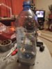 DSCN3372.jpg