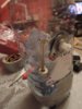 DSCN3373.jpg