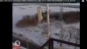 Снимок экрана 2015-01-14 в 19.23.51.jpg