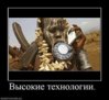 x_70aefee8.jpg