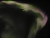 Y029.jpg