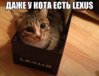 Лексус2.jpg