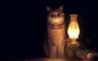 gifs_044.jpg