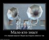 1278082343_1265556406_72331_malo-kto-znaet.jpg