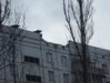 SDC14172.jpg
