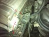 m73b54-2foto.JPG