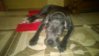 WP_20150226_001.jpg
