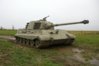 1-4-king-tiger-3244b.jpg