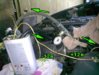 0c2e279a2c57.jpg