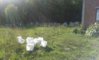 20150724_184005_resized.jpg