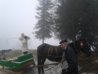 20140106_162630.jpg