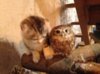кот 1.jpg