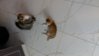 20150922_074557.jpg