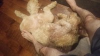 20151030_164554.jpg