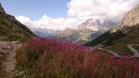 DSC_1258.JPG