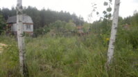 2014-07-24-537.jpg
