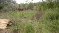 2014-07-24-541.jpg