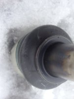 IMG_7659.JPG