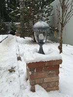 IMG_5449.JPG