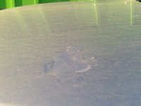 image.jpeg