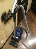 Miele.JPG