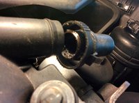 IMG_20160111_131623.jpg