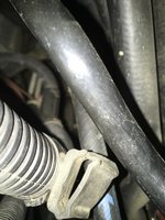 IMG_0162.jpg