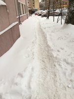 image.jpeg