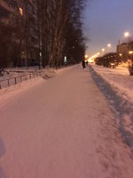 IMG_6186.jpg