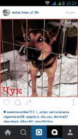 Screenshot_2016-01-17-20-23-41.png