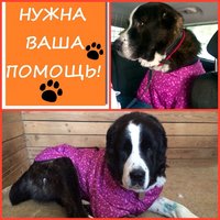 IMG-20160127-WA0004.jpg