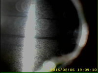 image.jpeg