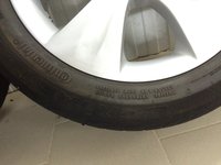 IMG_9533.JPG