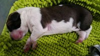 IMG-20160214-WA0001.jpg
