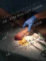 ClmgH_k40CQ.jpg