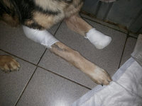 foto (3).jpg