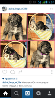 Screenshot_2016-02-20-09-57-16.png