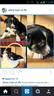 Screenshot_2016-02-20-13-29-02.png