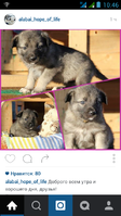 Screenshot_2016-02-21-10-46-48.png