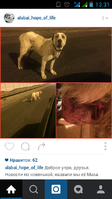 Screenshot_2016-02-24-13-31-11.png