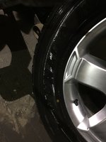 IMG_1480.jpg