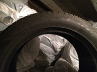 IMG_4591.JPG