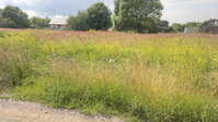 2015-07-16-1016.jpg