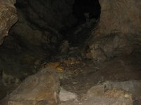 x_4cf05971.jpg
