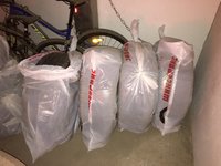 IMG_4958.JPG