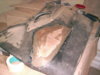 PICT7.jpg