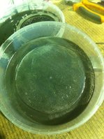 IMG_0847.JPG