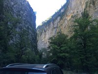 IMG_1696[1].JPG